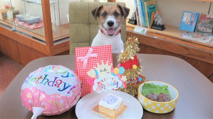 【ペットバースデープラン】年に1度の誕生日をお祝い！ケーキやプレゼントなどの特典つき